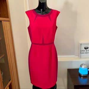 Antonio Melani Fuchsia pink dress